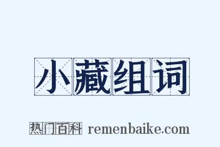 小藏组词是什么意思的图片